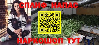 MDMA Новодвинск