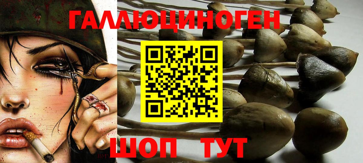 Псилоцибиновые грибы ЛСД Реутов